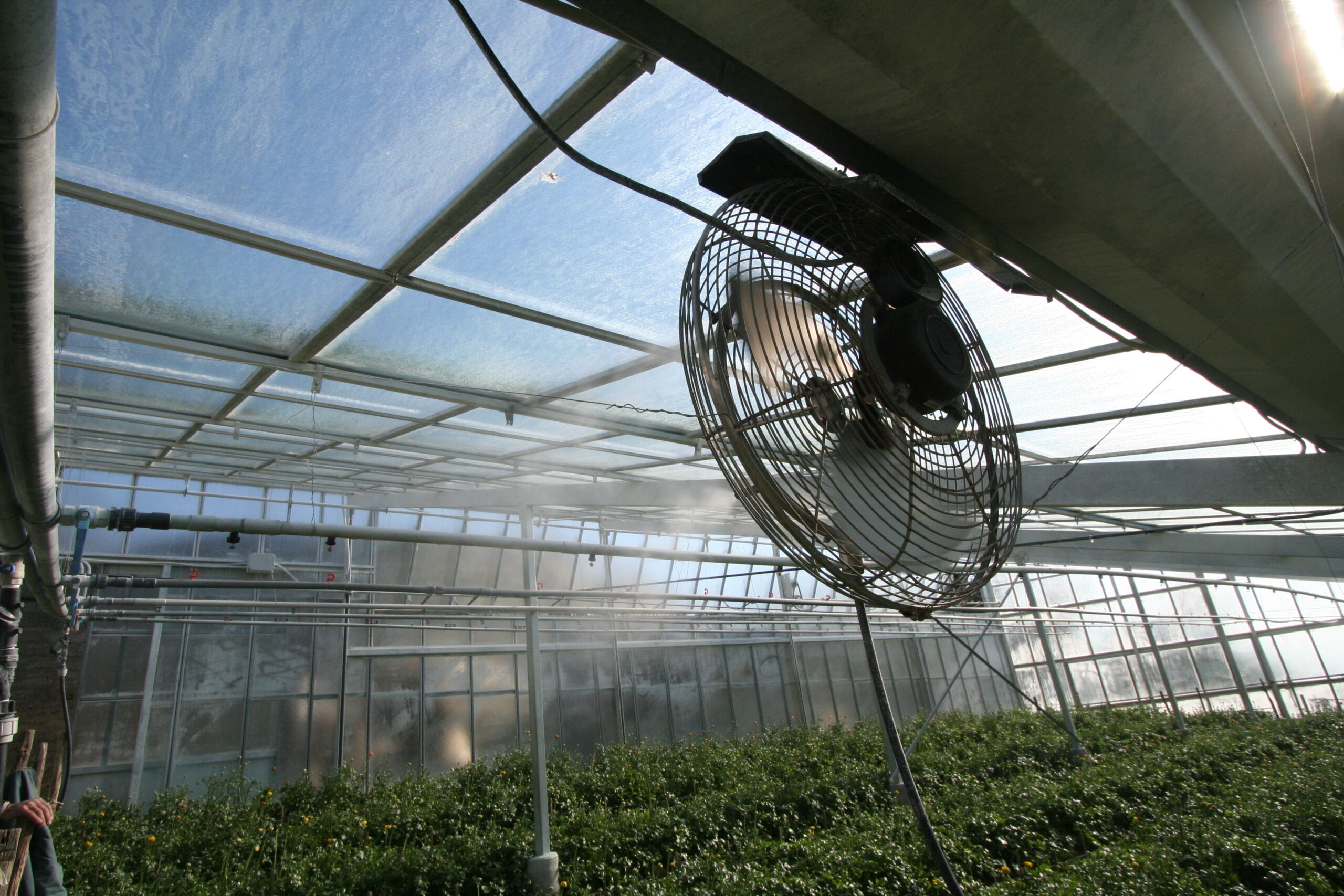 green houses cooling
