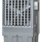 Air cooler A110-3